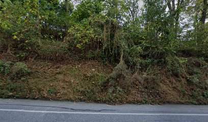 Auto Repair Shops in Lancaster: Honeysuckle Hill Auto Service