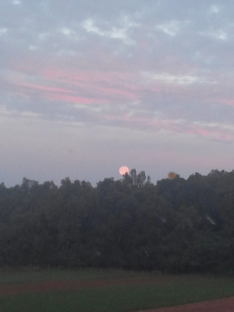 Construction Companies in Gap: Narvon Builders LLC