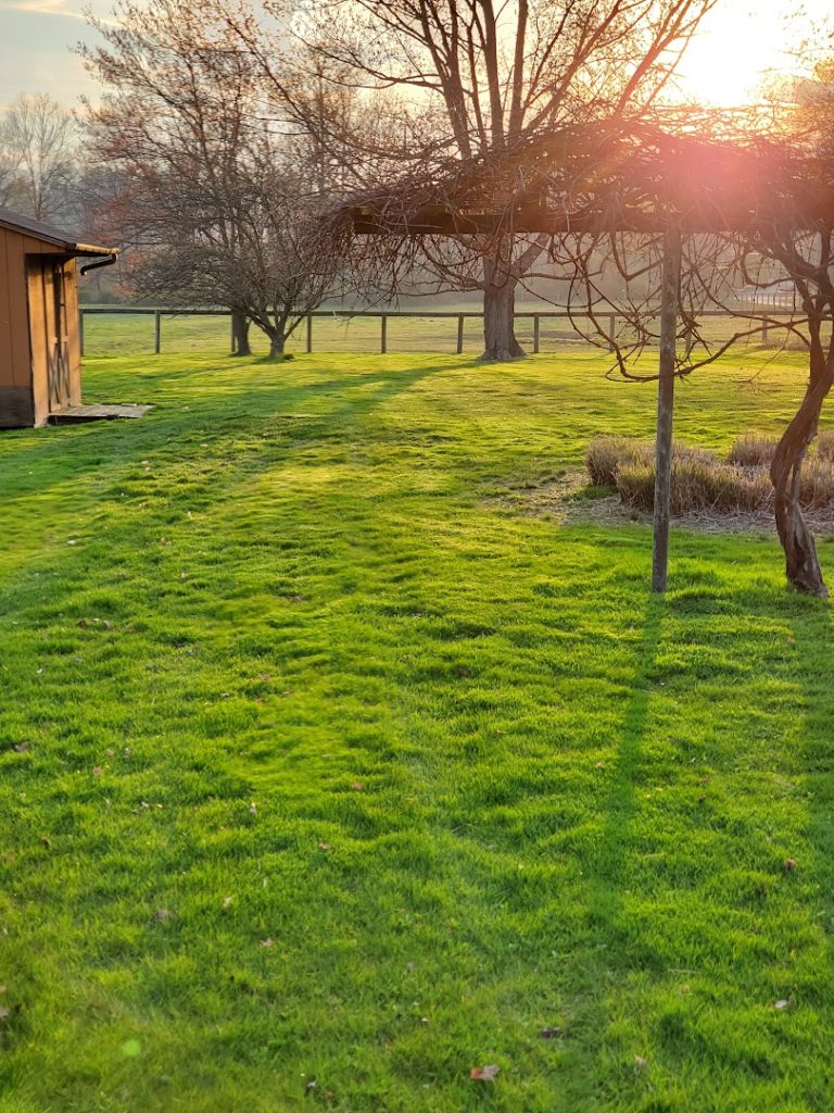 Event Venues in Lancaster: The Liberty Event Venue