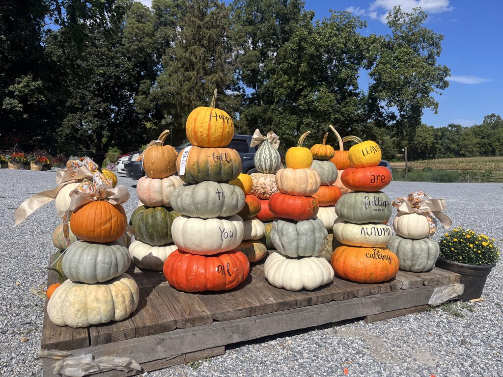 Landisville Greenhouse Fall 2