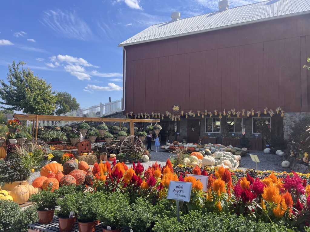 Landisville Greenhouse Fall 3