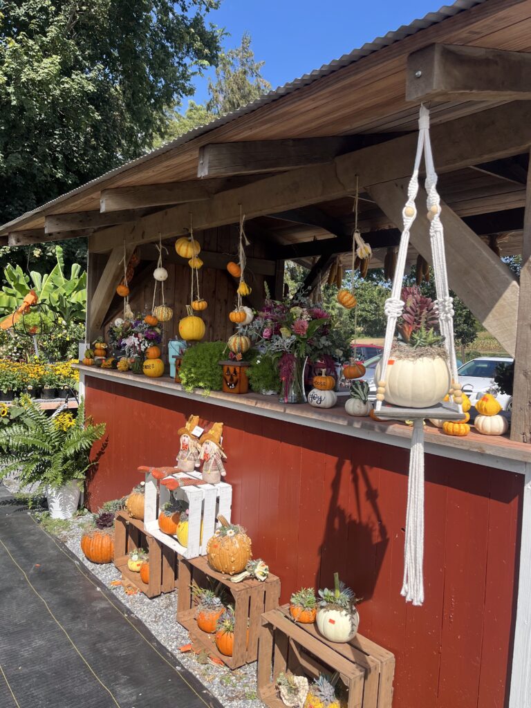 Landisville Greenhouse Fall 4