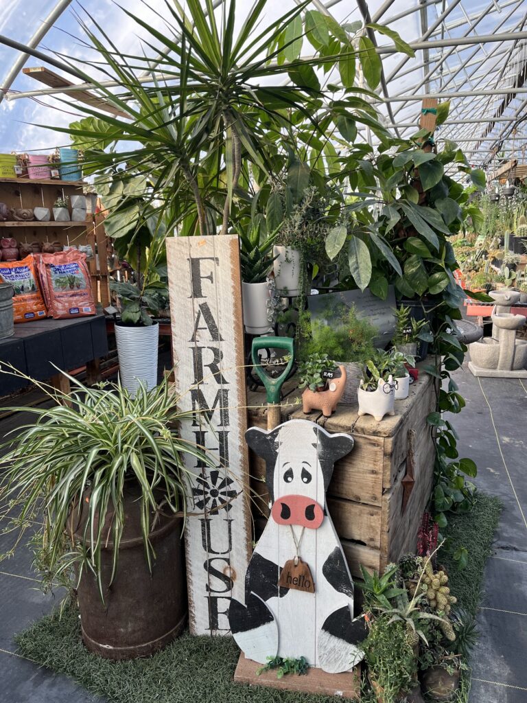 Landisville Greenhouse Winter 2026 11