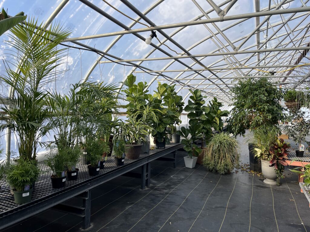 Landisville Greenhouse Winter 2026 17