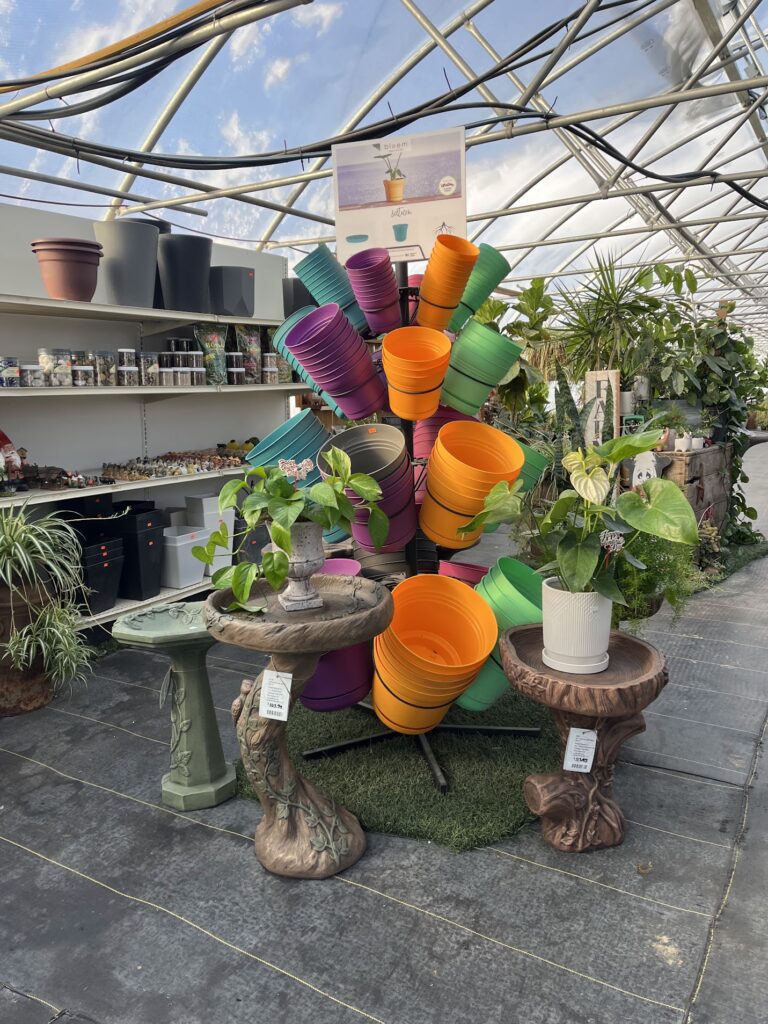 Landisville Greenhouse Winter 2026 3