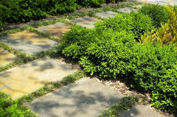 Landscapers in Lancaster: Jeffrey Erb Landscape Design