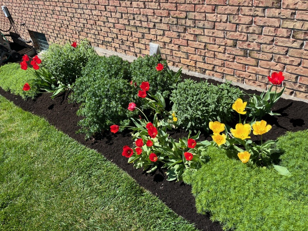 Landscapers in Manheim: Thomas Hershey Landscape Contractor