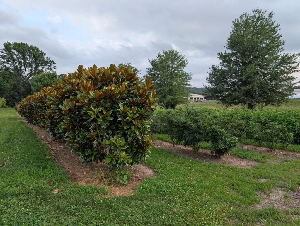 PXL 20250726 231253262