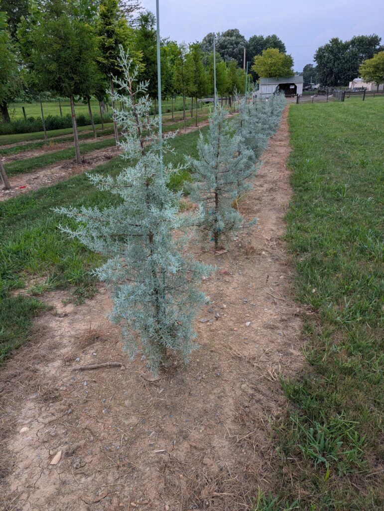 PXL 20250726 231301996