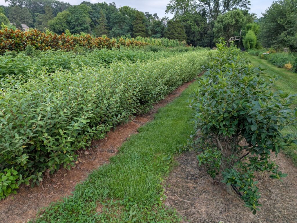 PXL 20250726 231321297