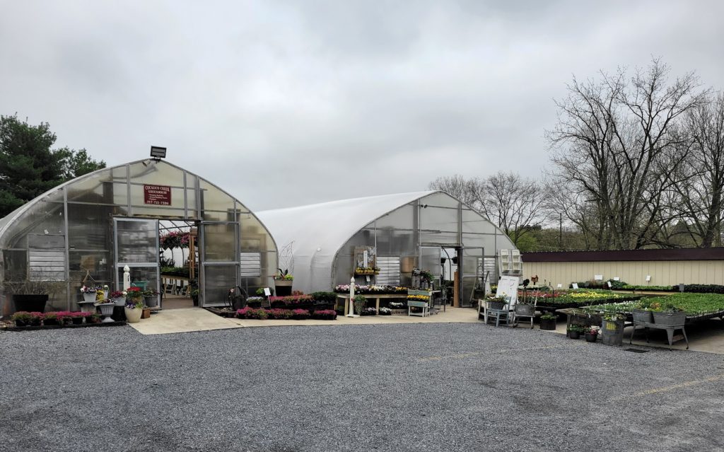 Plants in Ephrata: Cocalico creek greenhouse