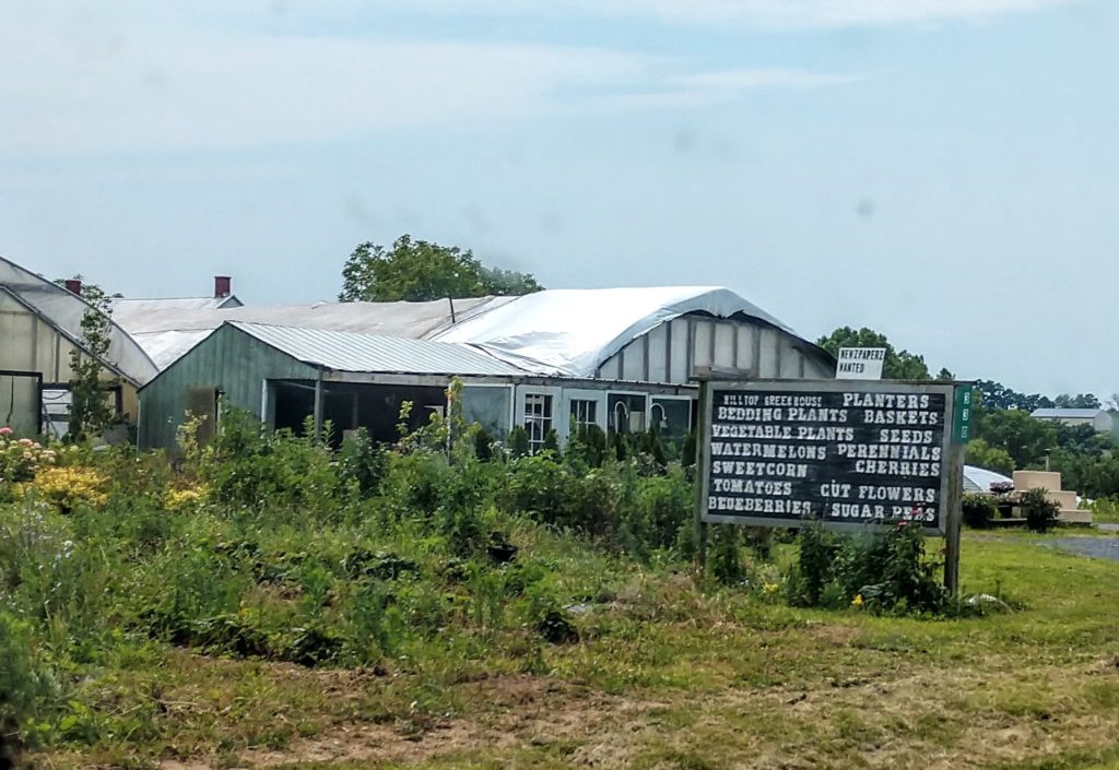 Plants in Ephrata: Hilltop Greenhouse Mulch And Produce