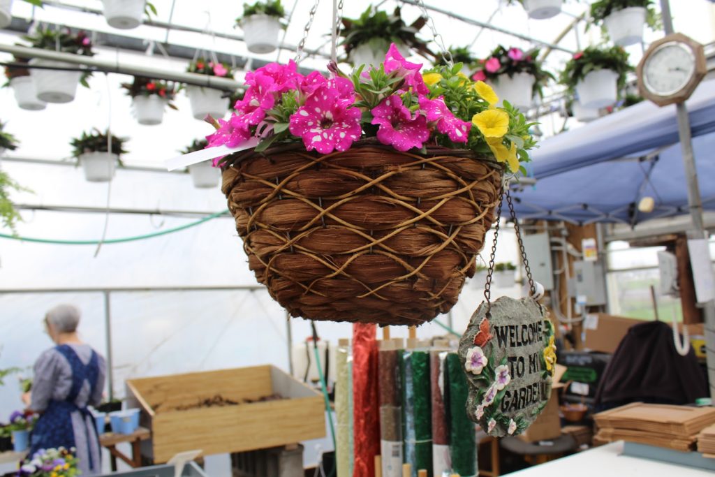 Plants in Ephrata: Serenity Ridge Greenhouse