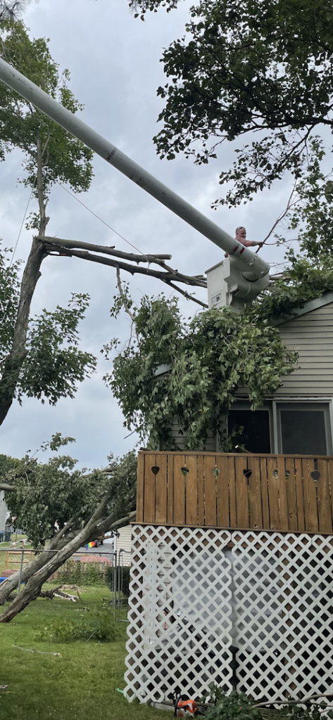 Tree Services in Landisville: Shull's Tree Service - Son