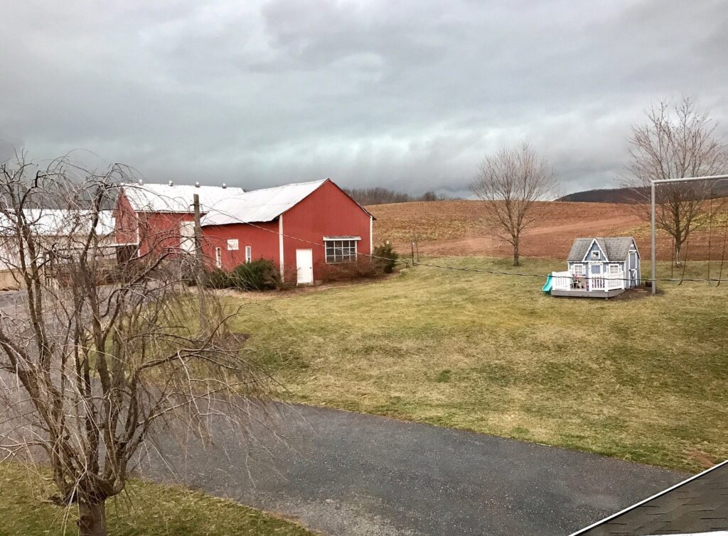 Farm Folk Bed and Breakfast: Denver Bed & Breakfasts