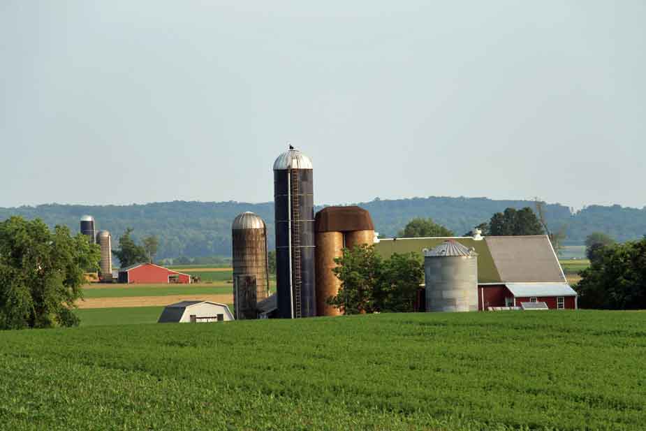 Killdeer Farm Guesthouse: Gordonville Bed & Breakfasts