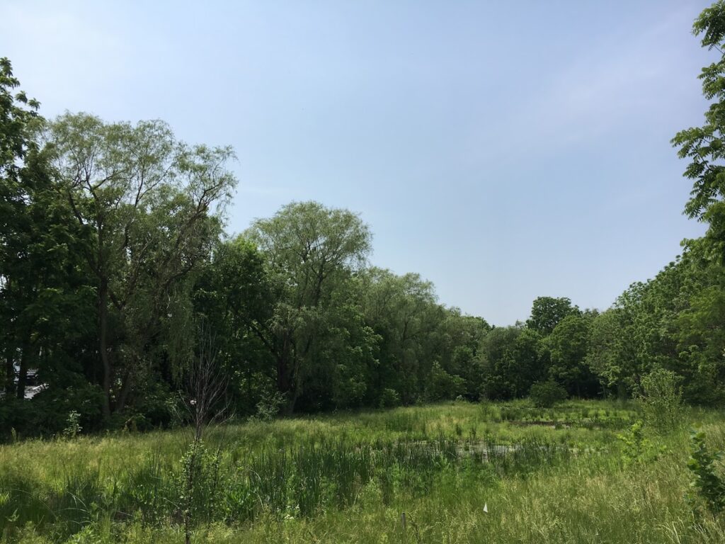 Oak Street Wetlands: Lititz Tourist Attractions