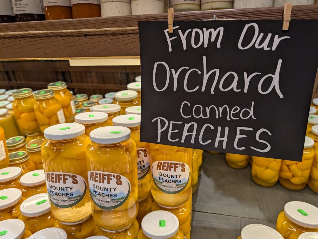 Canned Peaches from Orchard
