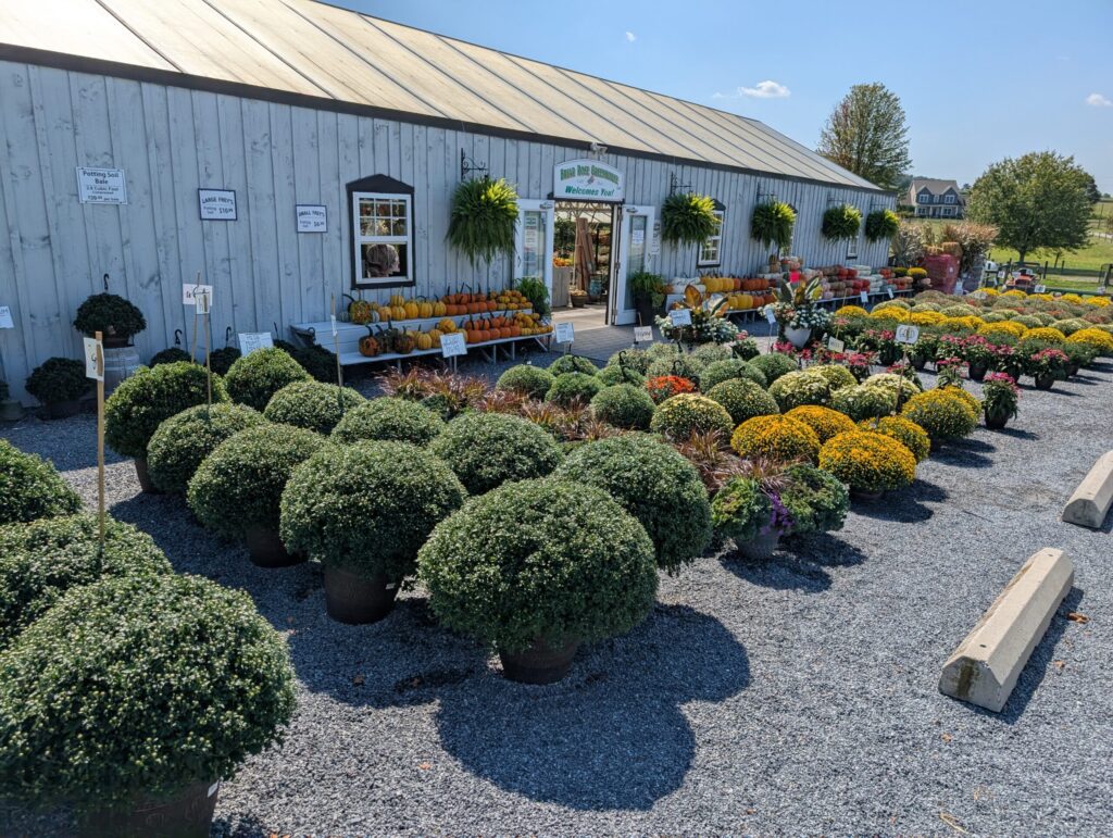 Briar Rose Greenhouse Fall Season 1