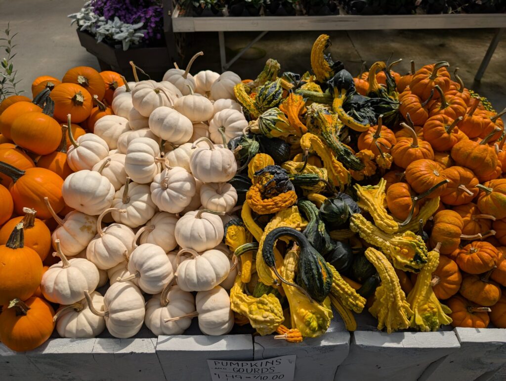 Briar Rose Greenhouse Fall Season 10