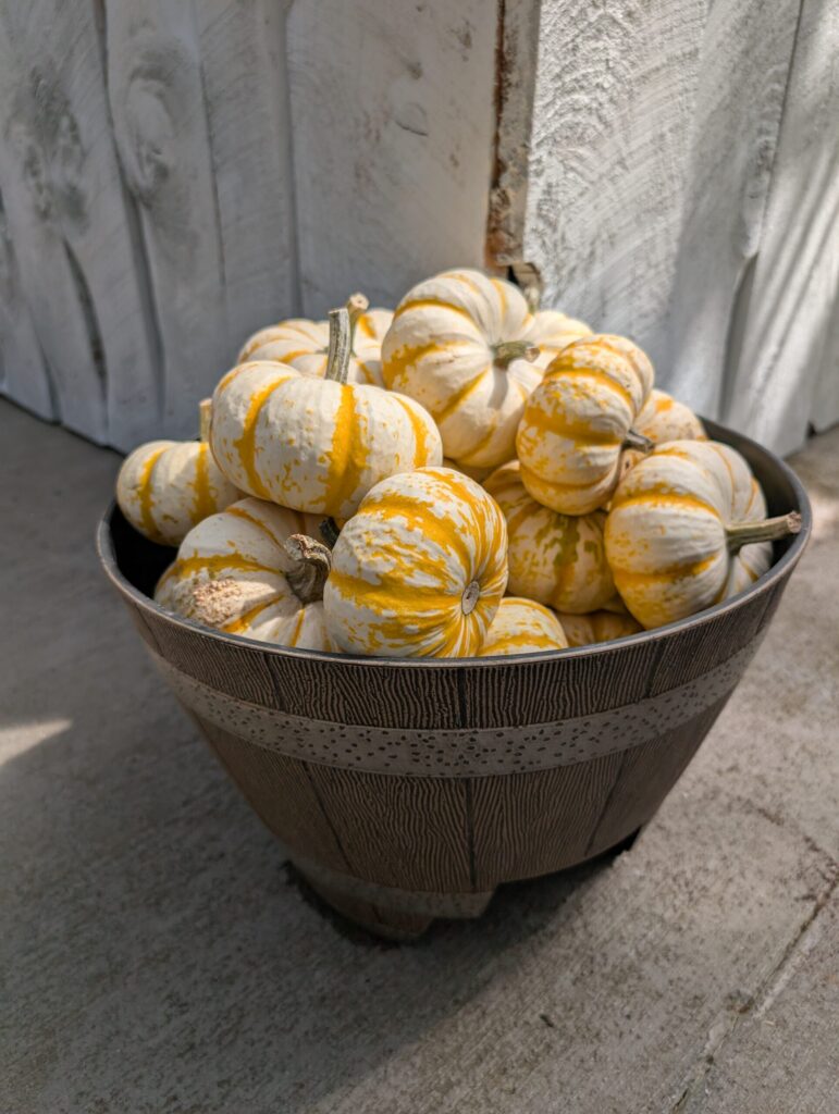 Briar Rose Greenhouse Fall Season 11