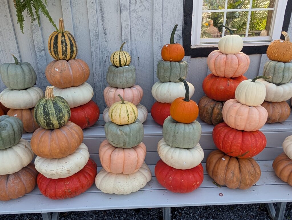 Briar Rose Greenhouse Fall Season 25