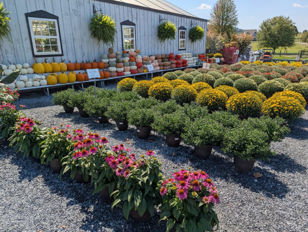 Briar Rose Greenhouse Fall Season 3