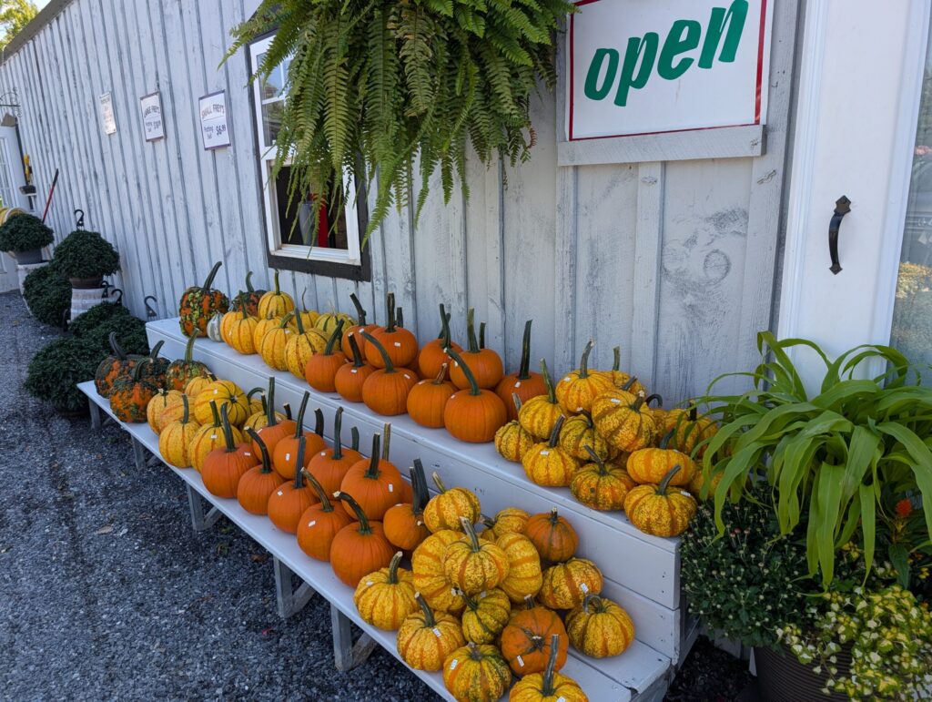 Briar Rose Greenhouse Fall Season 4