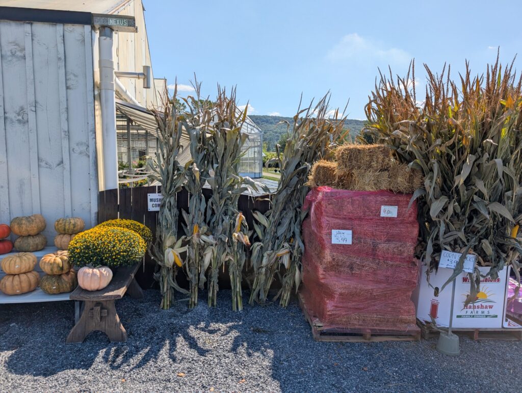 Briar Rose Greenhouse Fall Season 6