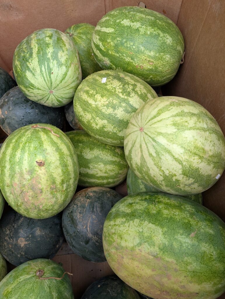 Cedar Side Farm Market 14