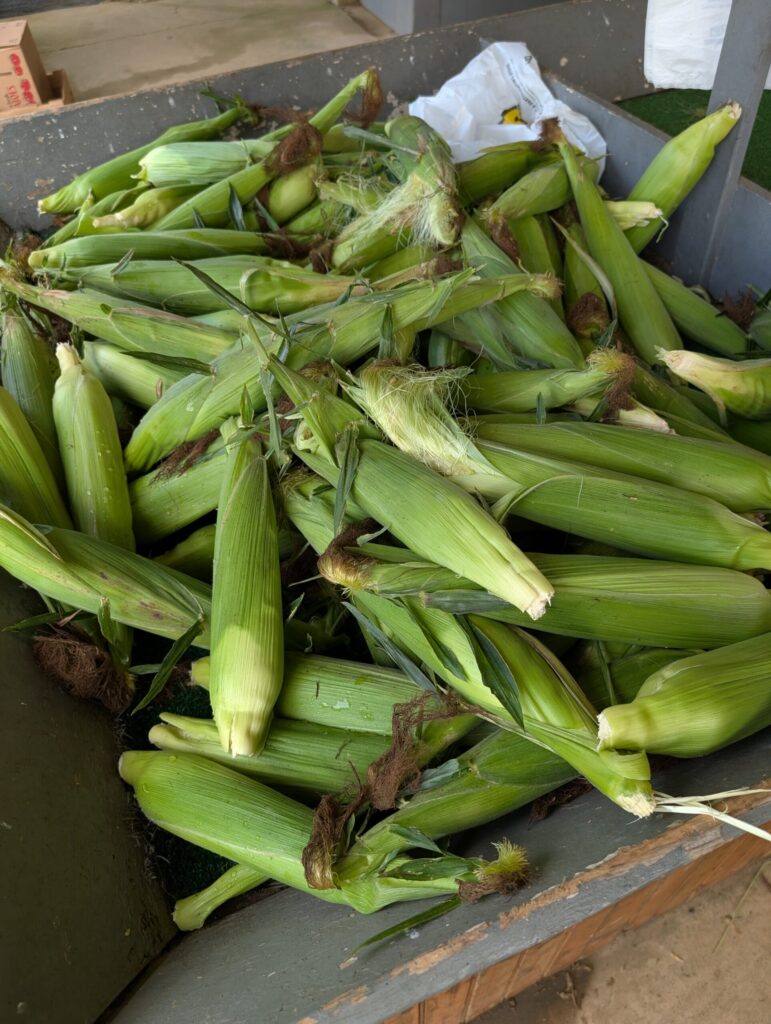 Cedar Side Farm Market 15