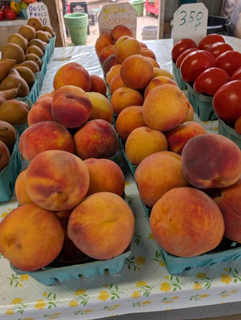 Cedar Side Farm Market 16