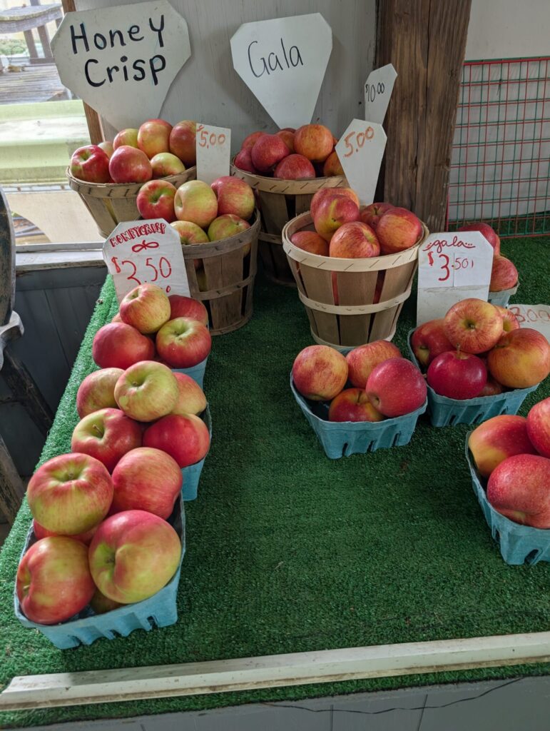 Cedar Side Farm Market 18