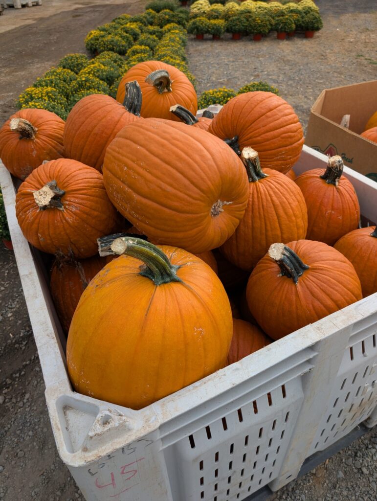 Cedar Side Farm Market 22