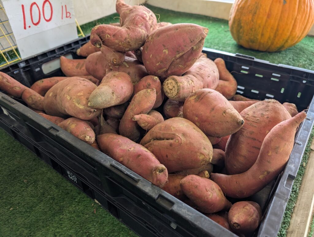 Cedar Side Farm Market 29