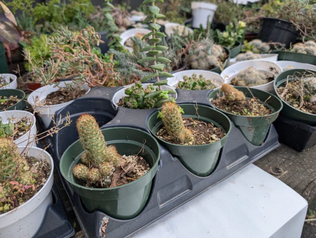 Cedar Side Farm Market 4