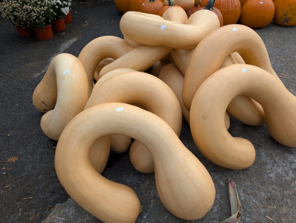 Cedar Side Farm Market 8