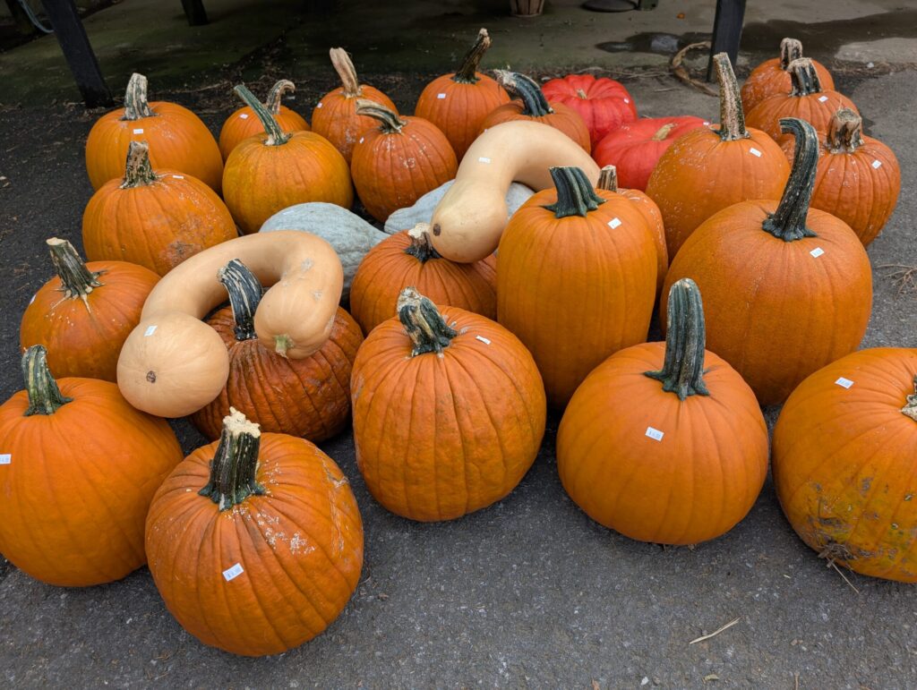 Cedar Side Farm Market 9