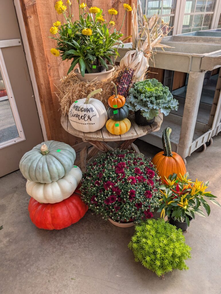 Leids Greenhouse Fall 19