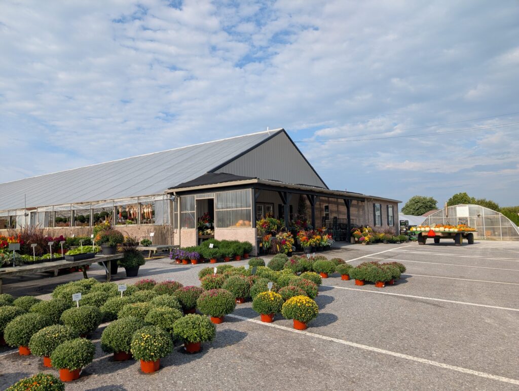 Leids Greenhouse Fall 28