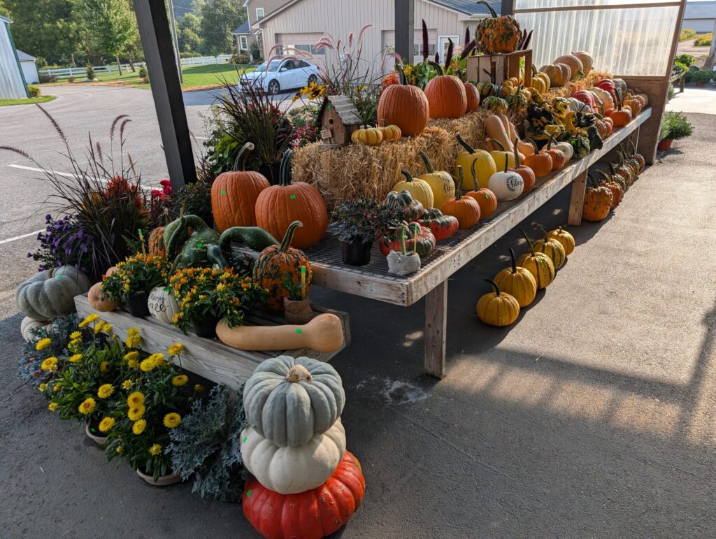 Leids Greenhouse Fall 7