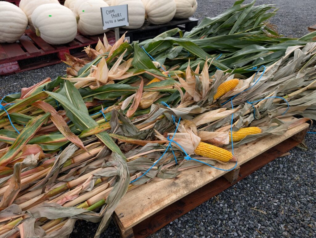 Red Barn Market In The Fall 25