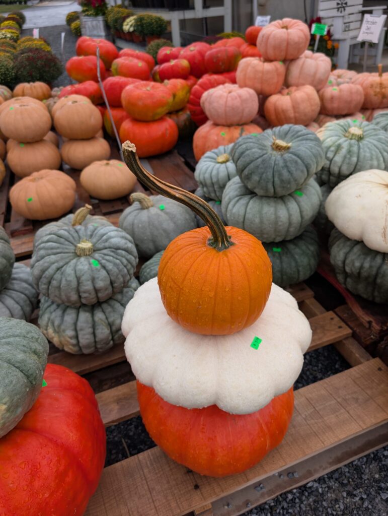 Red Barn Market In The Fall 28