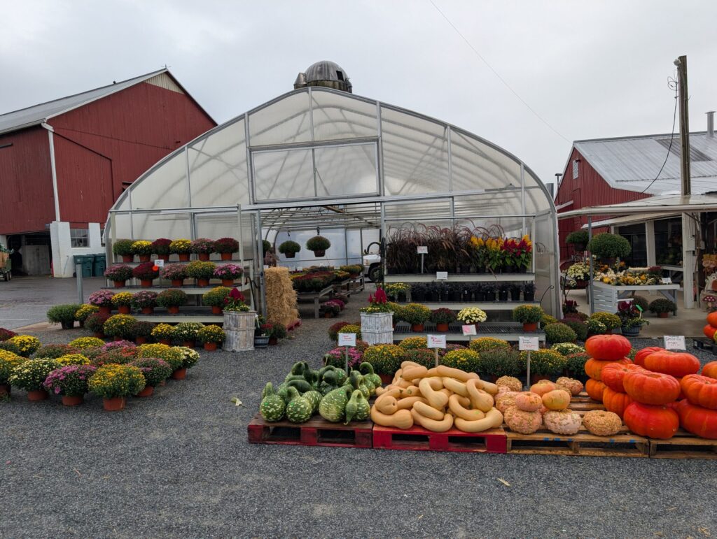 Red Barn Market In The Fall 29