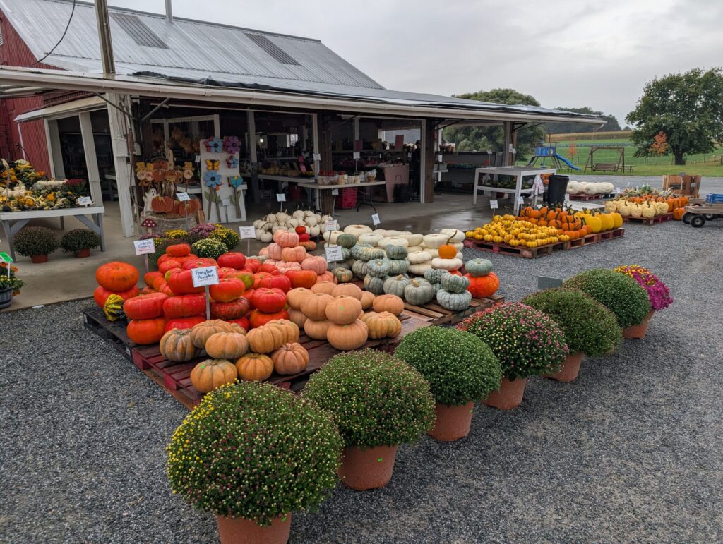 Red Barn Market In The Fall 30