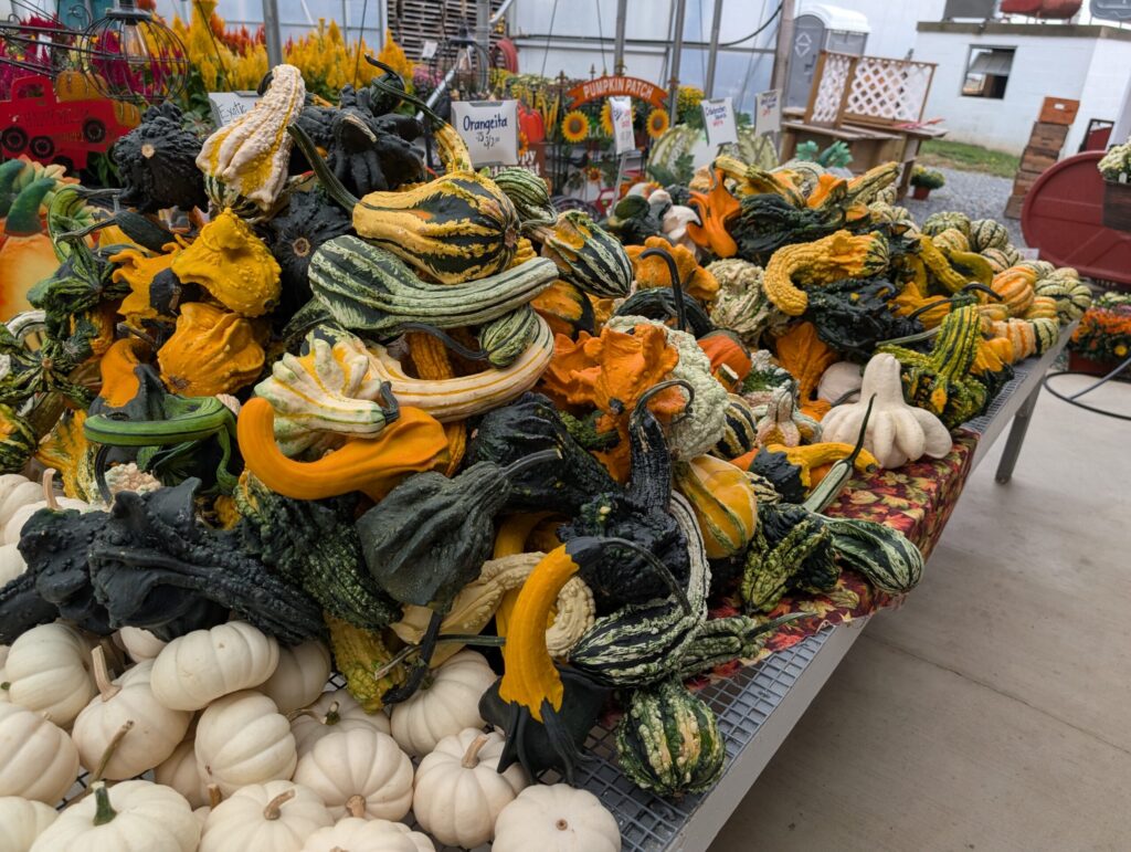 Red Barn Market In The Fall 5