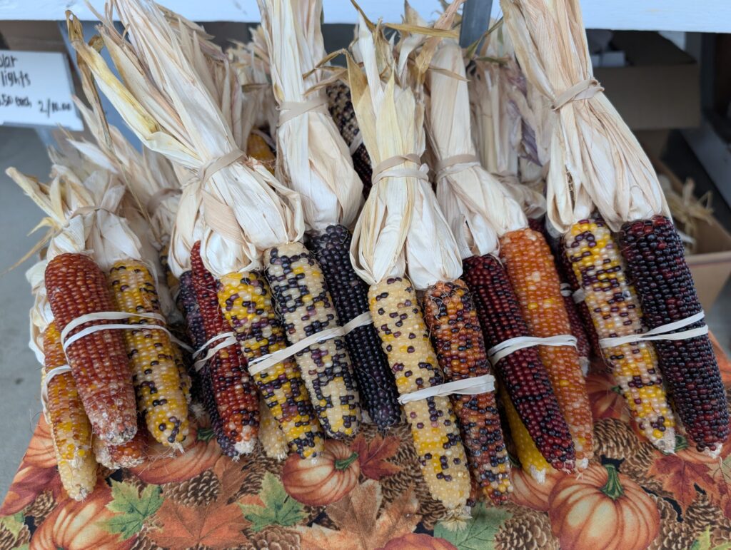 Red Barn Market In The Fall 6