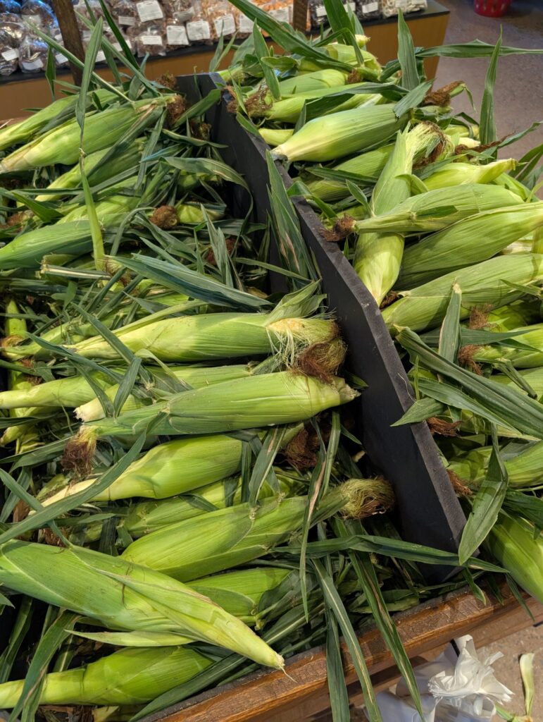 Reiffs Farm Market Greenhouse 11
