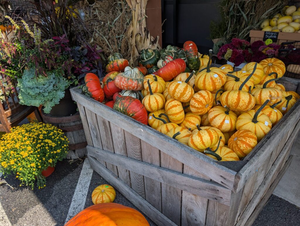 Reiffs Farm Market Greenhouse 16
