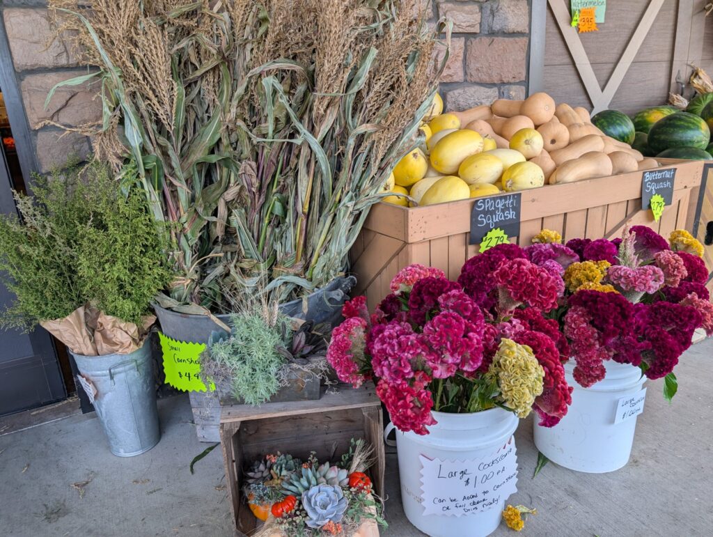 Reiffs Farm Market Greenhouse 21